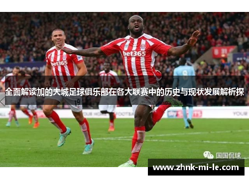 全面解读加的夫城足球俱乐部在各大联赛中的历史与现状发展解析探