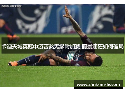 卡迪夫城英冠中游苦熬无缘附加赛 前景迷茫如何破局 卡迪夫城英冠中游苦熬无缘附加赛 前景迷茫如何破局
